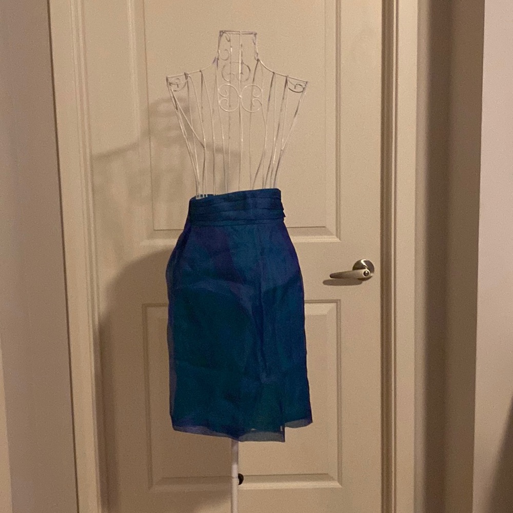 BCBG Runway Collection skirt